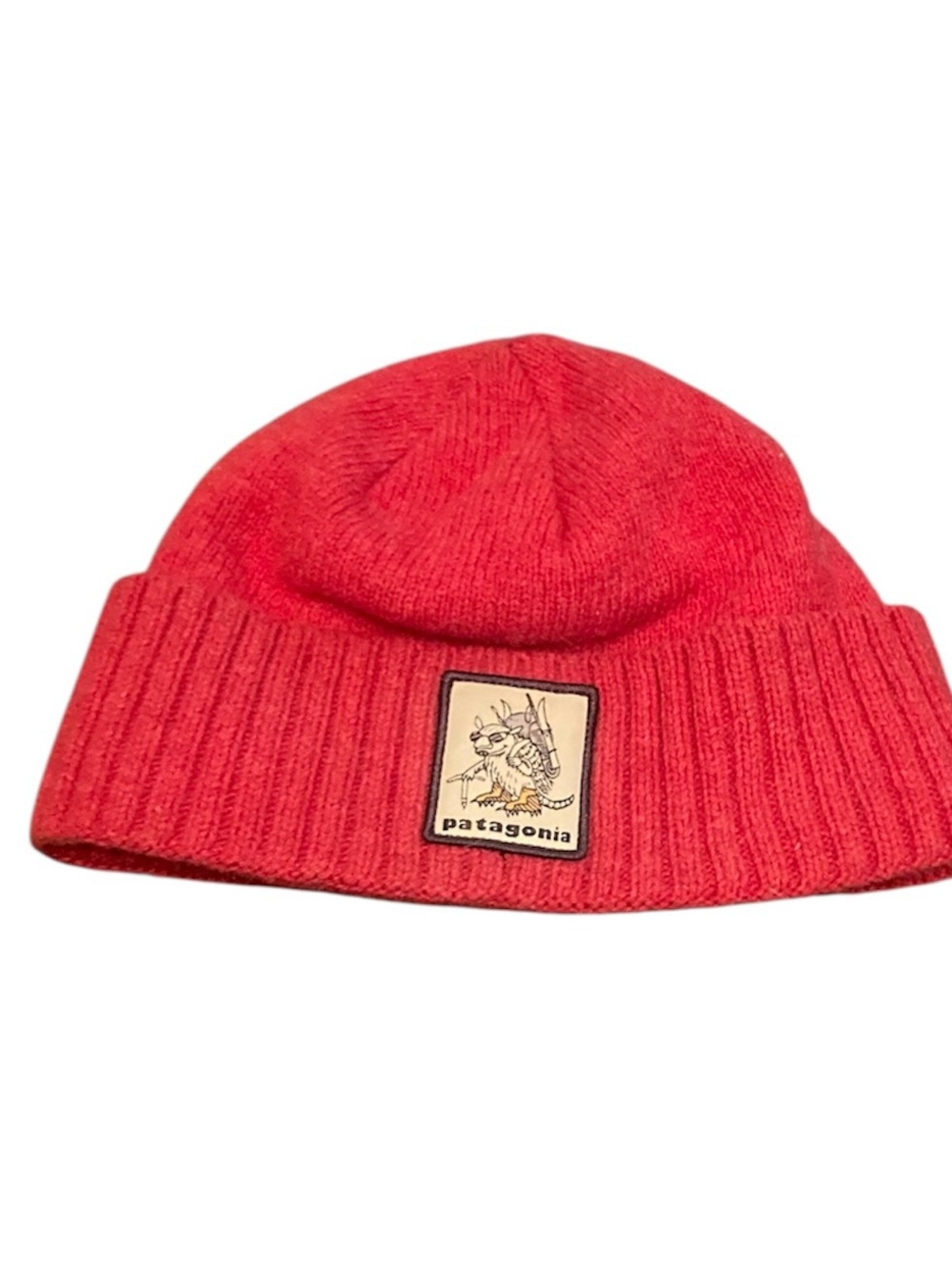 Patagonia Brodeo Beanie